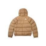 /THE NORTH FACE