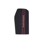 Alexander McQueen Logo