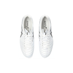 Asics DS Light X-FLY Pro 2 FG（ ）