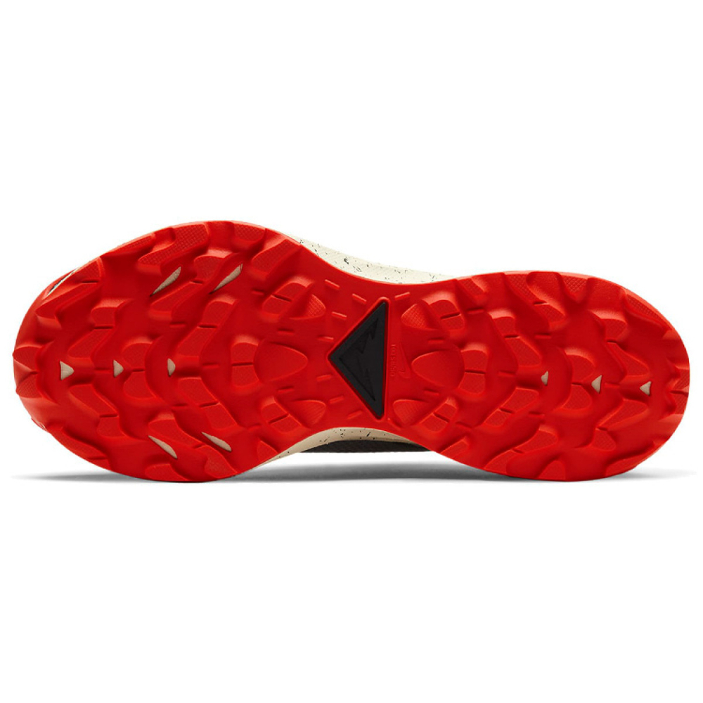 Nike Pegasus Trail 2 GTX