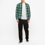 Stussy Basic logo