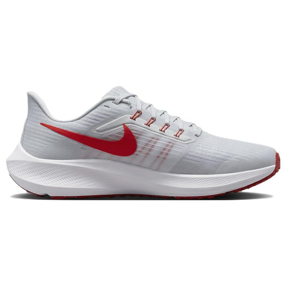Nike Air Zoom Pegasus 39