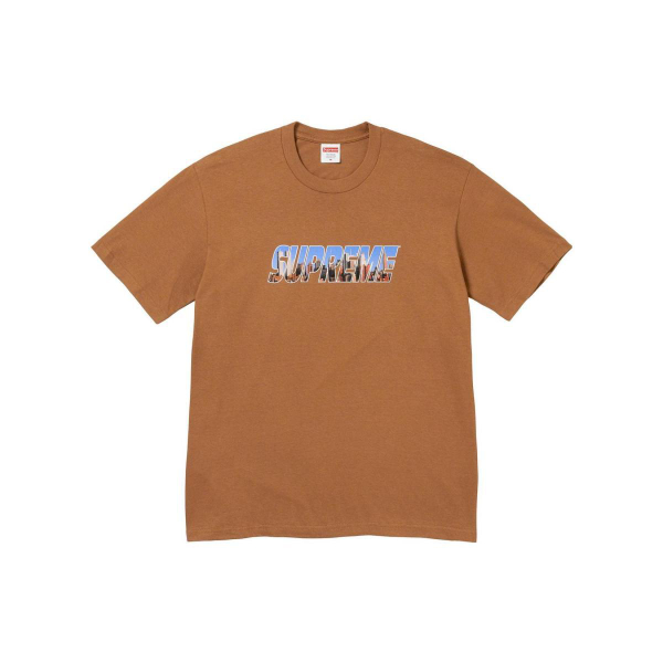 Supreme FW23 WEEK1 GOTHAM TEE Logo T
