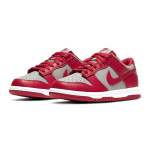 Nike Dunk Medium Grey