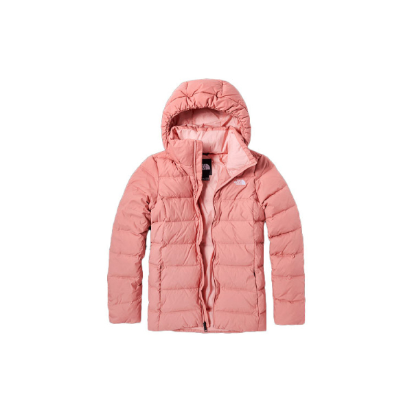 THE NORTH FACE Logo 550