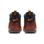 Nike Foamposite Pro Color Shift