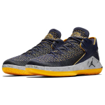 Jordan Air Jordan 32 Low “Michigan”