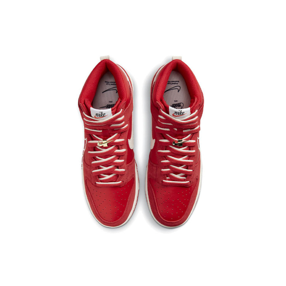 Nike Dunk High "First Use"