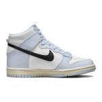 Nike Dunk Aluminum