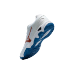 Mizuno