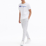 Champion logo T