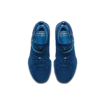 Nike Lebron 14 Agimat