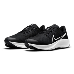 Nike Pegasus 38