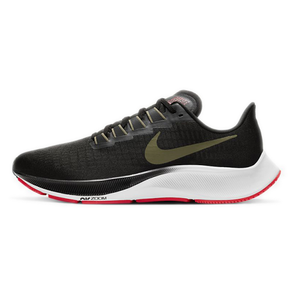Nike Pegasus 37