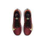 Nike Pegasus Trail 2