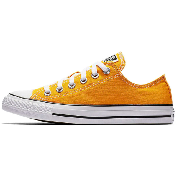 Converse Chuck Taylor All Star Seasonal Color Low Top