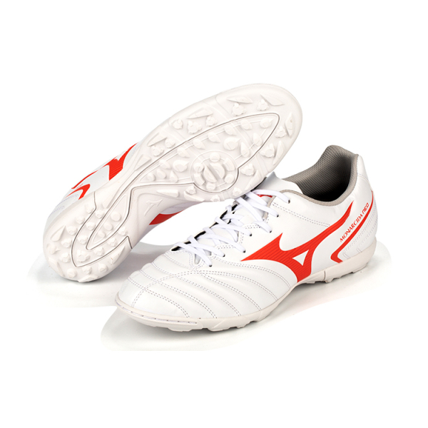 Mizuno Monarcida