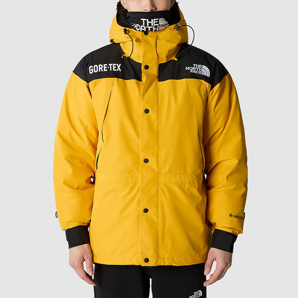 /THE NORTH FACE GTX mountain jacket