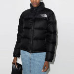 THE NORTH FACE 1996 Retro Nuptse 700