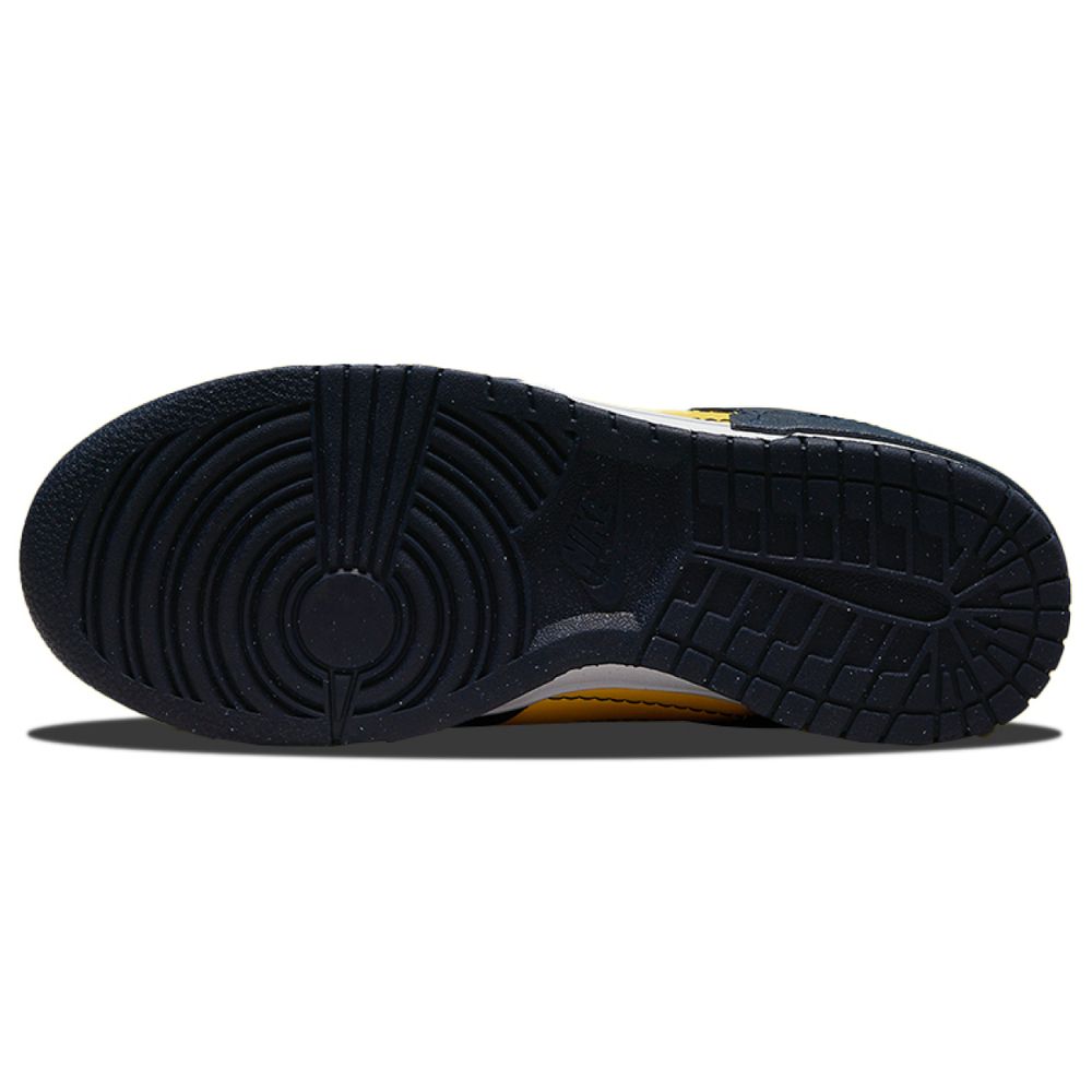 Nike Dunk Disrupt 2