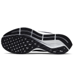 Nike Pegasus 36