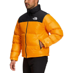 THE NORTH FACE 1996 Logo 700