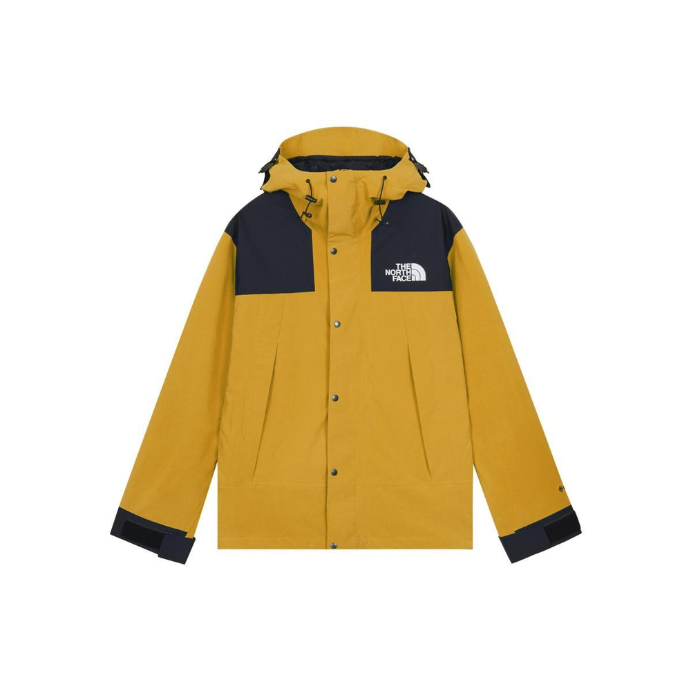 THE NORTH FACE GORE-TEX GTX Logo