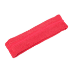 Champion Terry Headband