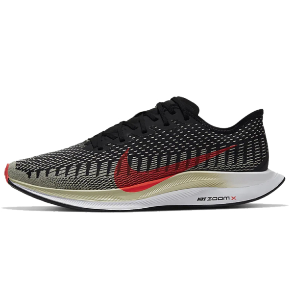 Nike Pegasus turbo 2