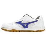 Mizuno School Indoor