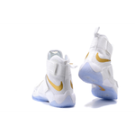 Nike zoom soldier 10 LeBron Gold Medal