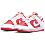 Nike Dunk Retro