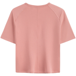 CK/Calvin Klein T