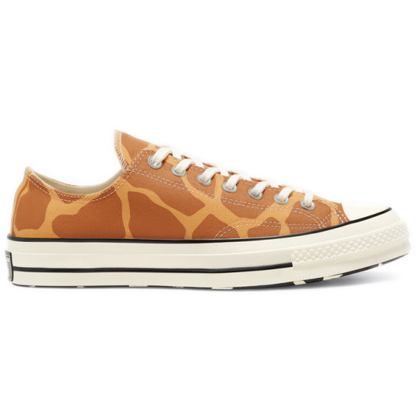Converse 1970s Archive Print Chuck 70