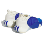 Adidas Harden Vol.7 7 "Royal Blue"