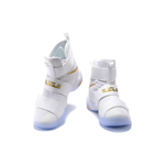 Nike zoom soldier 10 LeBron Gold Medal