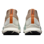 Nike Pegasus Trail 4