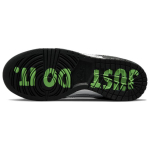 Nike Dunk Disrupt 2