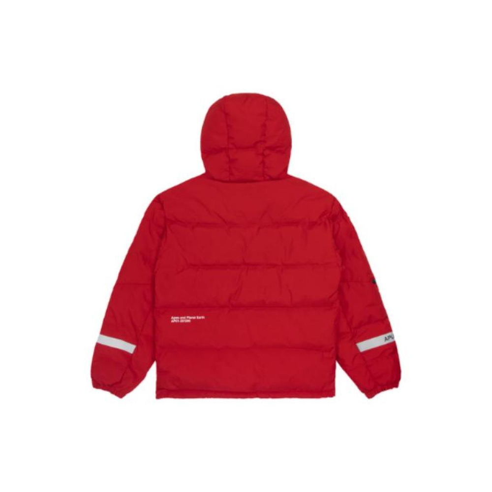 Aape x NASA Logo