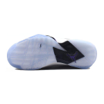 Jordan Air Jordan 7 True Flight