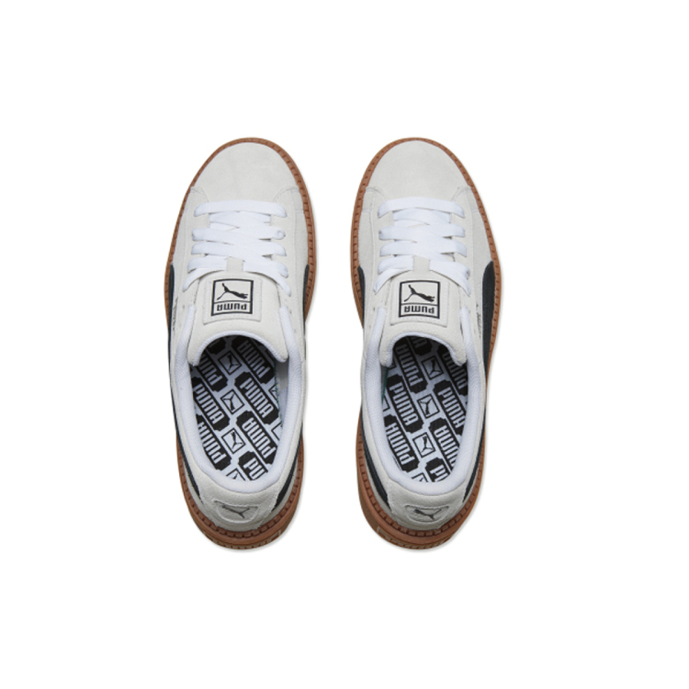 PUMA Platform Trace