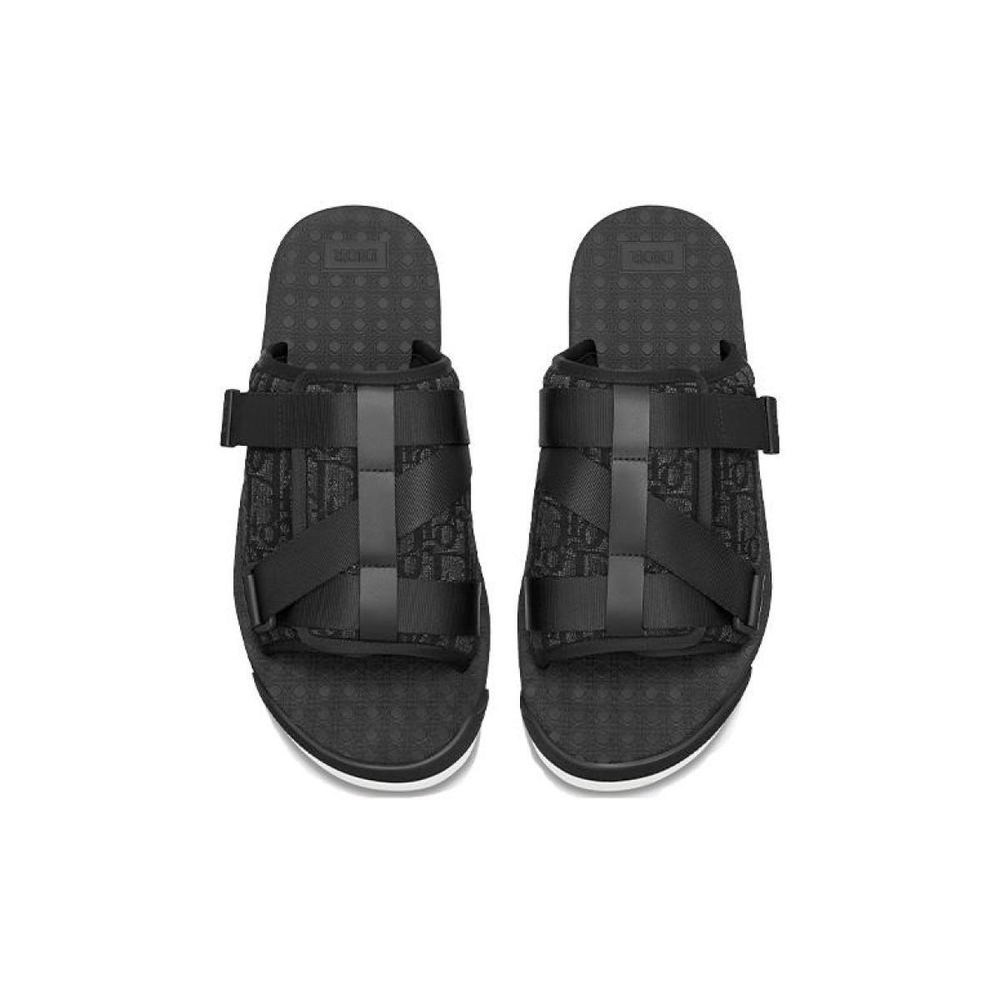DIOR Alpha
