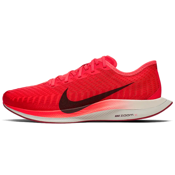 Nike Pegasus turbo 2