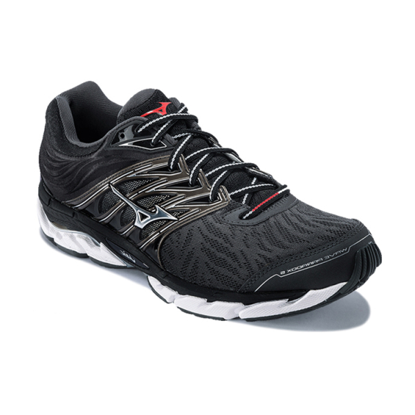 Mizuno Paradox 5