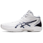 Asics Gel-Hoop V14
