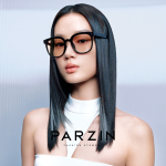 【 】 PARZIN