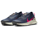 Nike Pegasus Trail 3 gtx