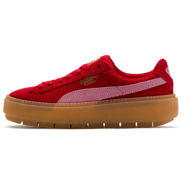 PUMA Platform Trace