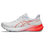 Asics GT-2000 12