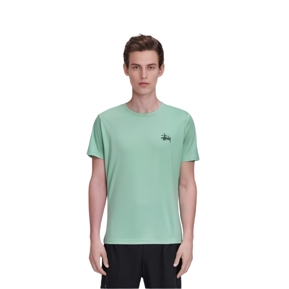 Stussy Basic Tee T